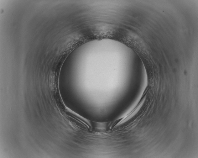 X0000086880416200704231108