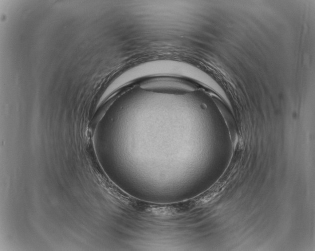 X0000086880417200704231108