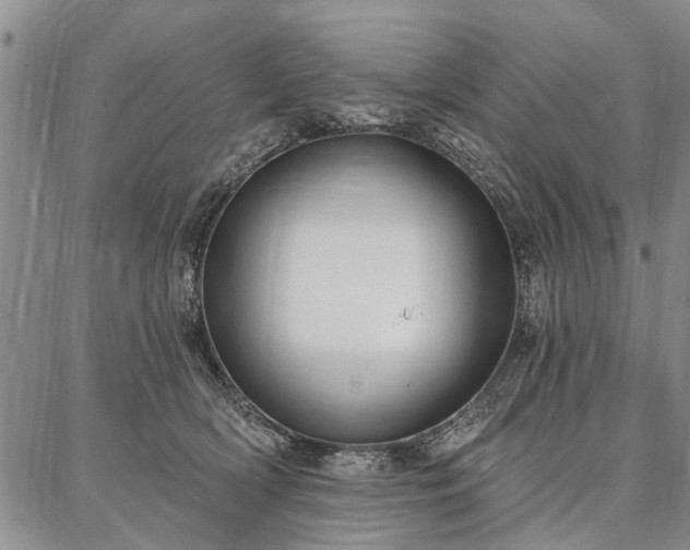 X0000086880418200704231108