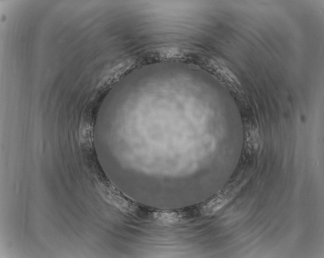 X0000086880419200704231108