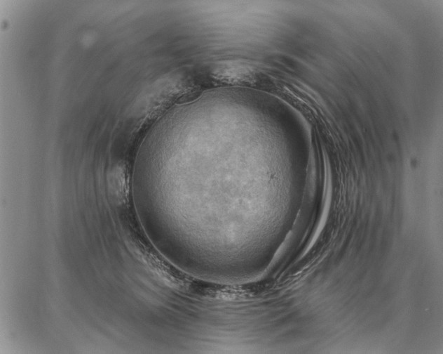 X0000086880420200704231108