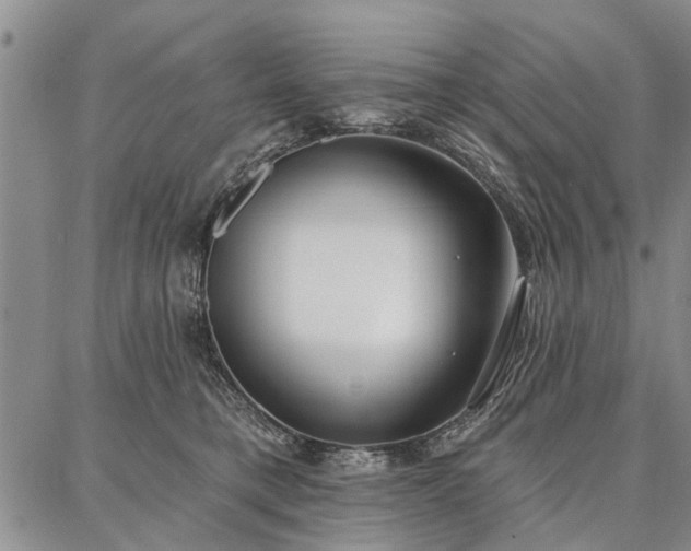 X0000086880421200704231108