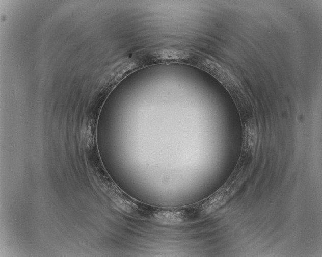 X0000086880422200704231108