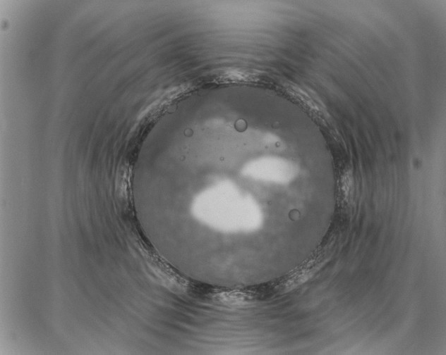 X0000086880423200704231108