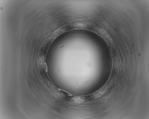 X0000086880425200704231108