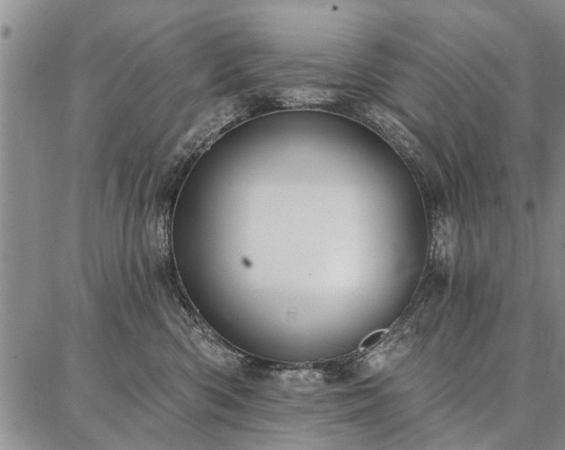 X0000086880426200704231108