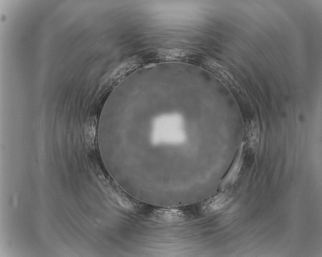 X0000086880427200704231108