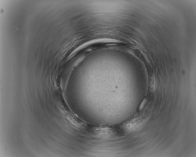 X0000086880428200704231107