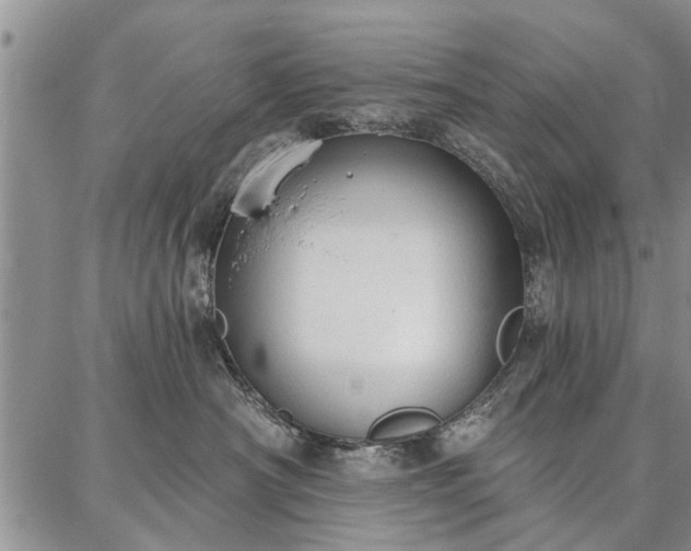 X0000086880430200704231107