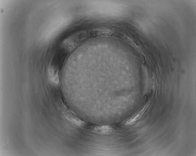 X0000086880431200704231107