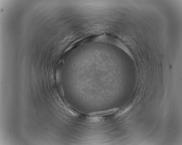 X0000086880432200704231107