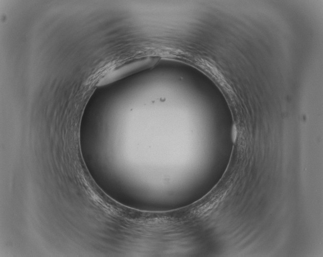 X0000086880433200704231107