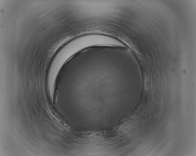 X0000086880434200704231107