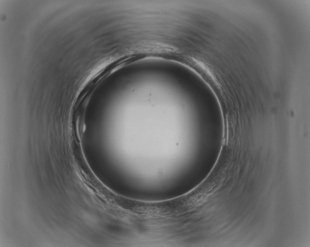 X0000086880435200704231107