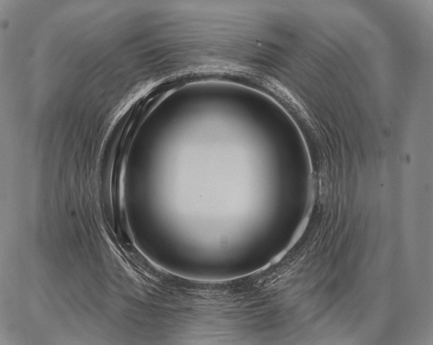 X0000086880436200704231107