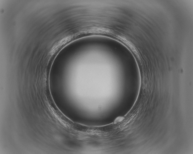 X0000086880437200704231107