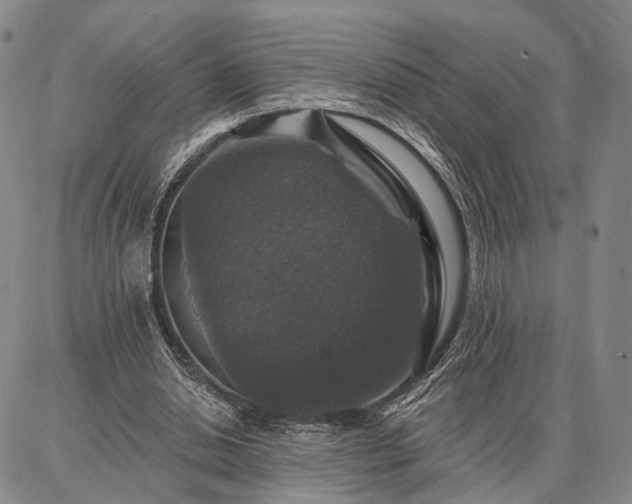 X0000086880438200704231107