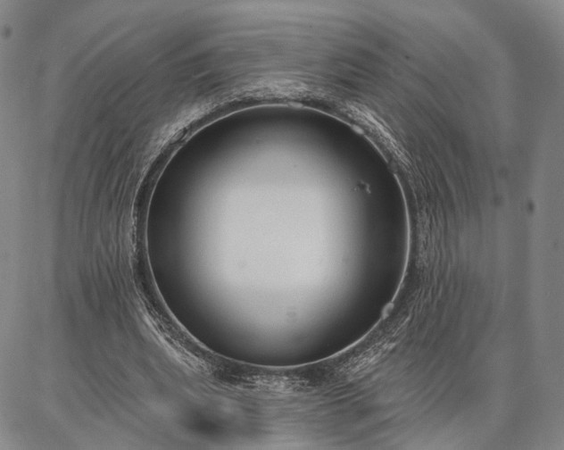 X0000086880439200704231107