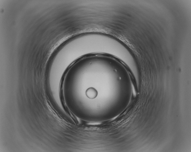 X0000086880440200704231107