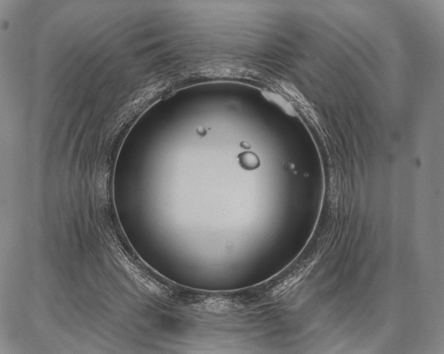 X0000086880441200704231107