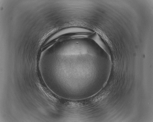 X0000086880442200704231107