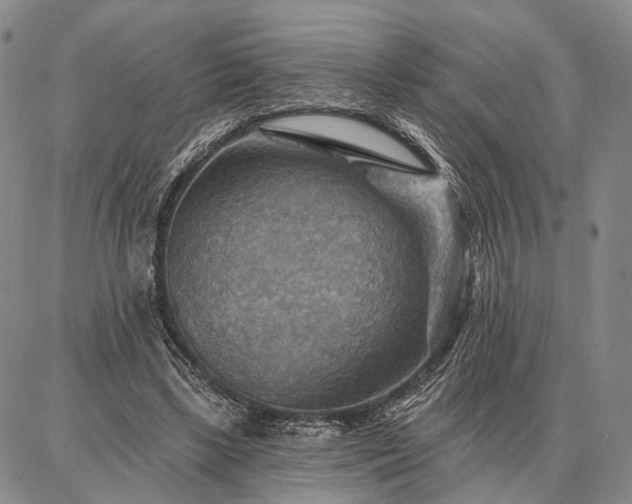 X0000086880443200704231107