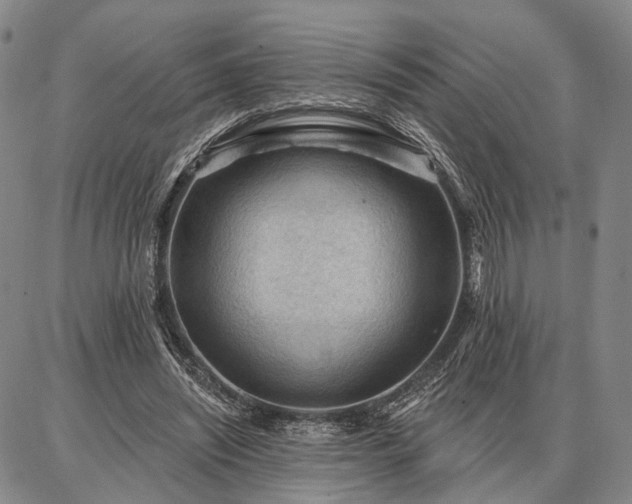 X0000086880444200704231107