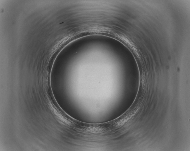 X0000086880445200704231107