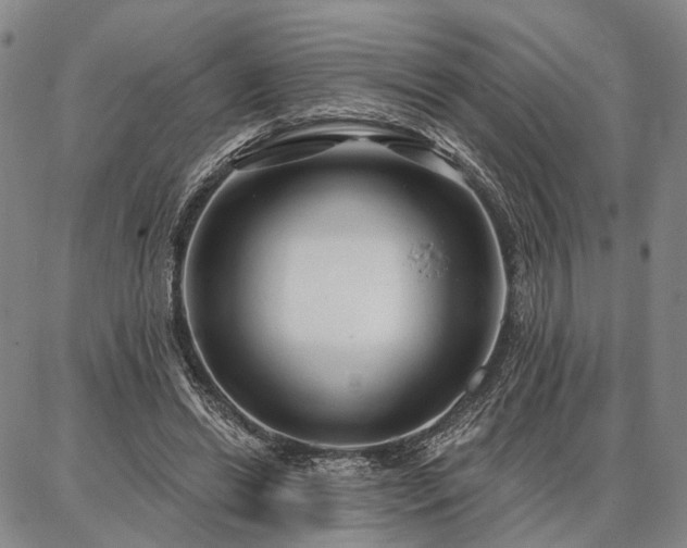 X0000086880446200704231107