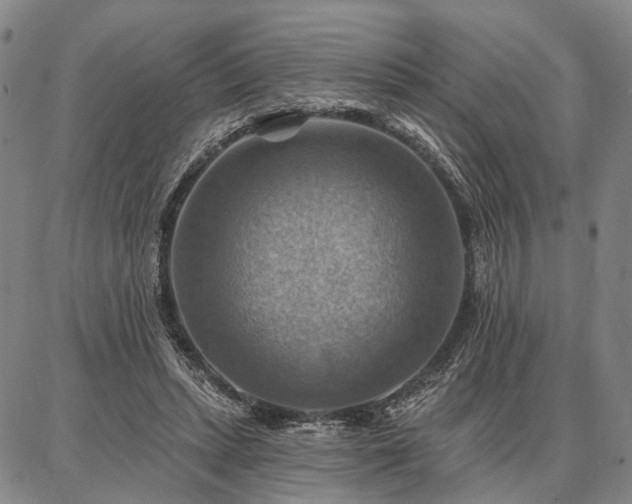 X0000086880447200704231107