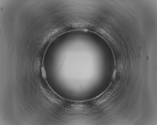 X0000086880448200704231107