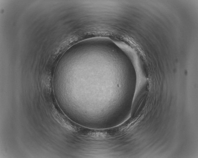 X0000086880449200704231107