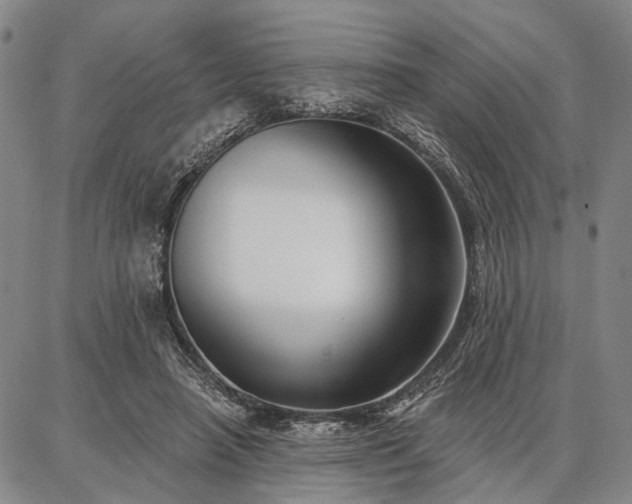 X0000086880450200704231107