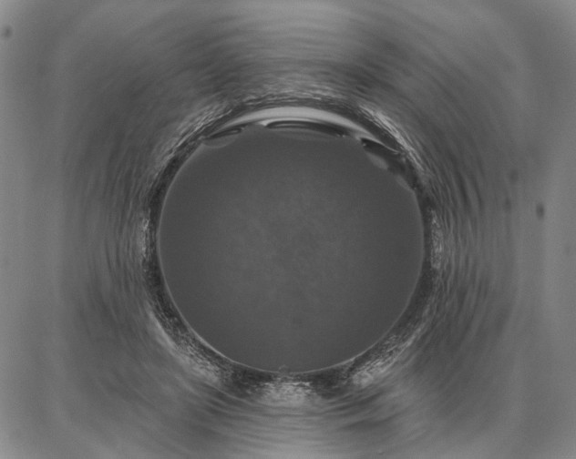 X0000086880451200704231107