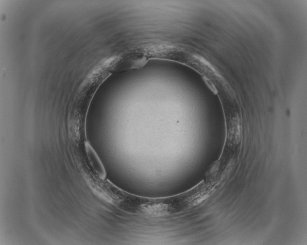 X0000086880452200704231107