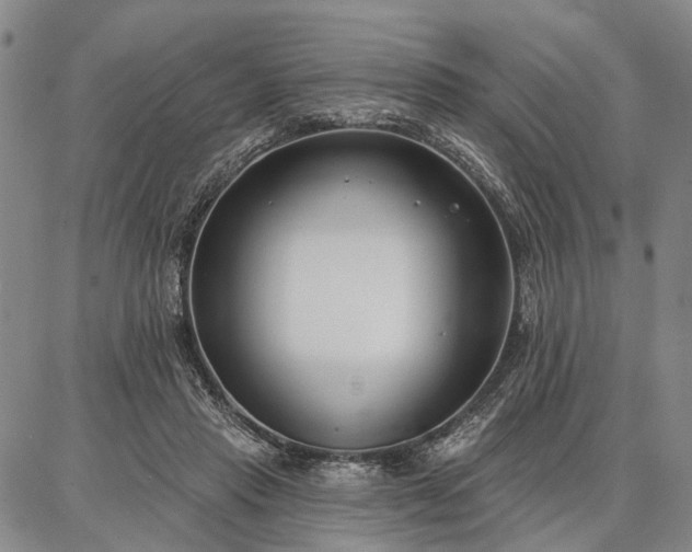 X0000086880453200704231107