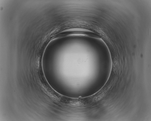 X0000086880454200704231107