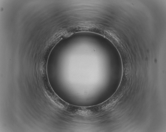 X0000086880455200704231107