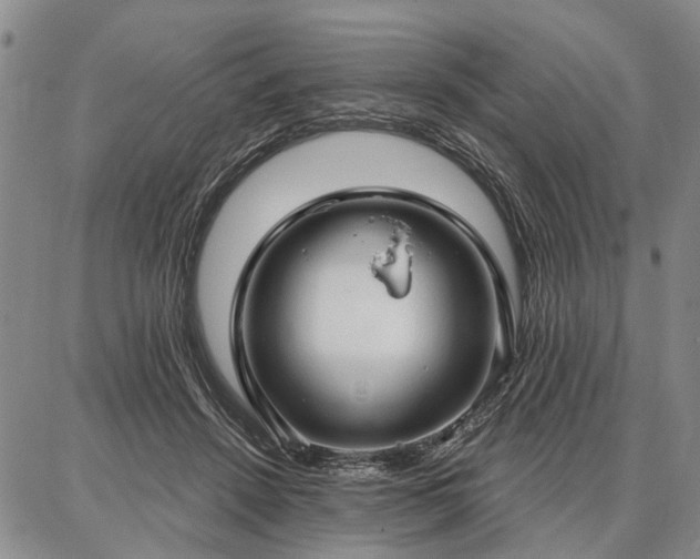 X0000086880456200704231107