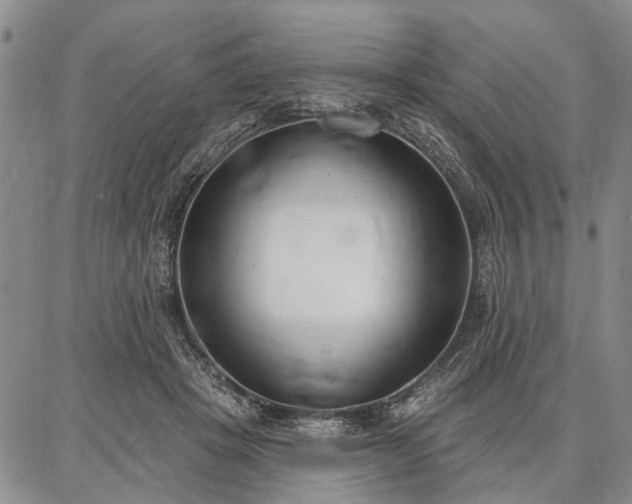 X0000086880457200704231107