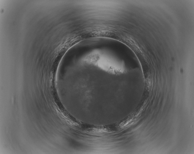 X0000086880458200704231107