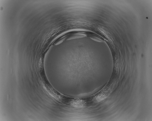 X0000086880459200704231107