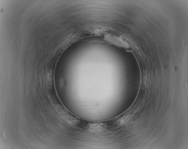 X0000086880461200704231107