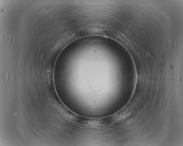 X0000086880462200704231107