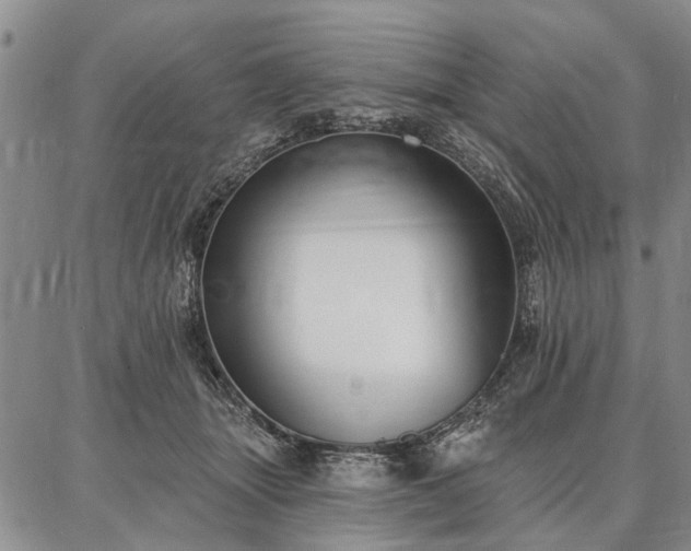 X0000086880463200704231107