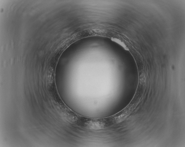 X0000086880464200704231107