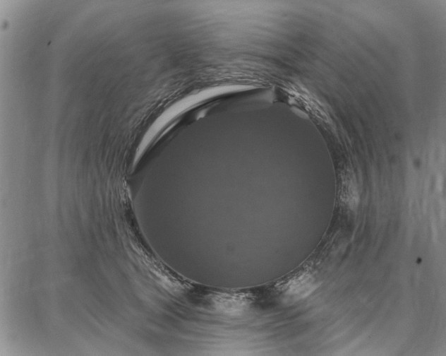 X0000086880465200704231107