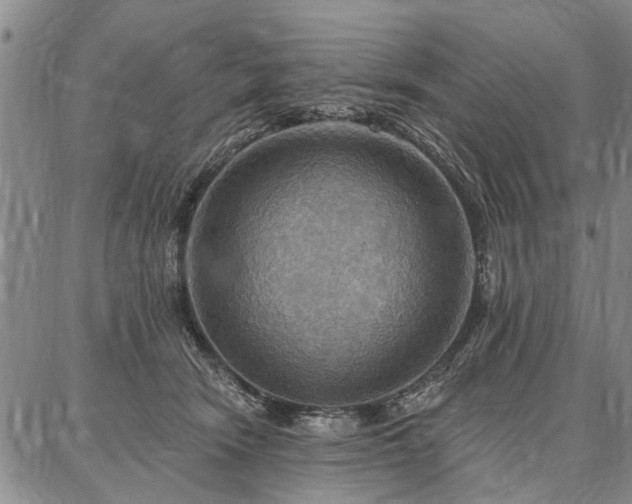 X0000086880466200704231107