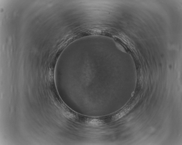 X0000086880467200704231107