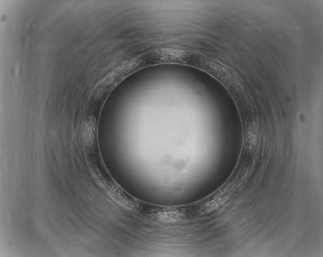 X0000086880468200704231107